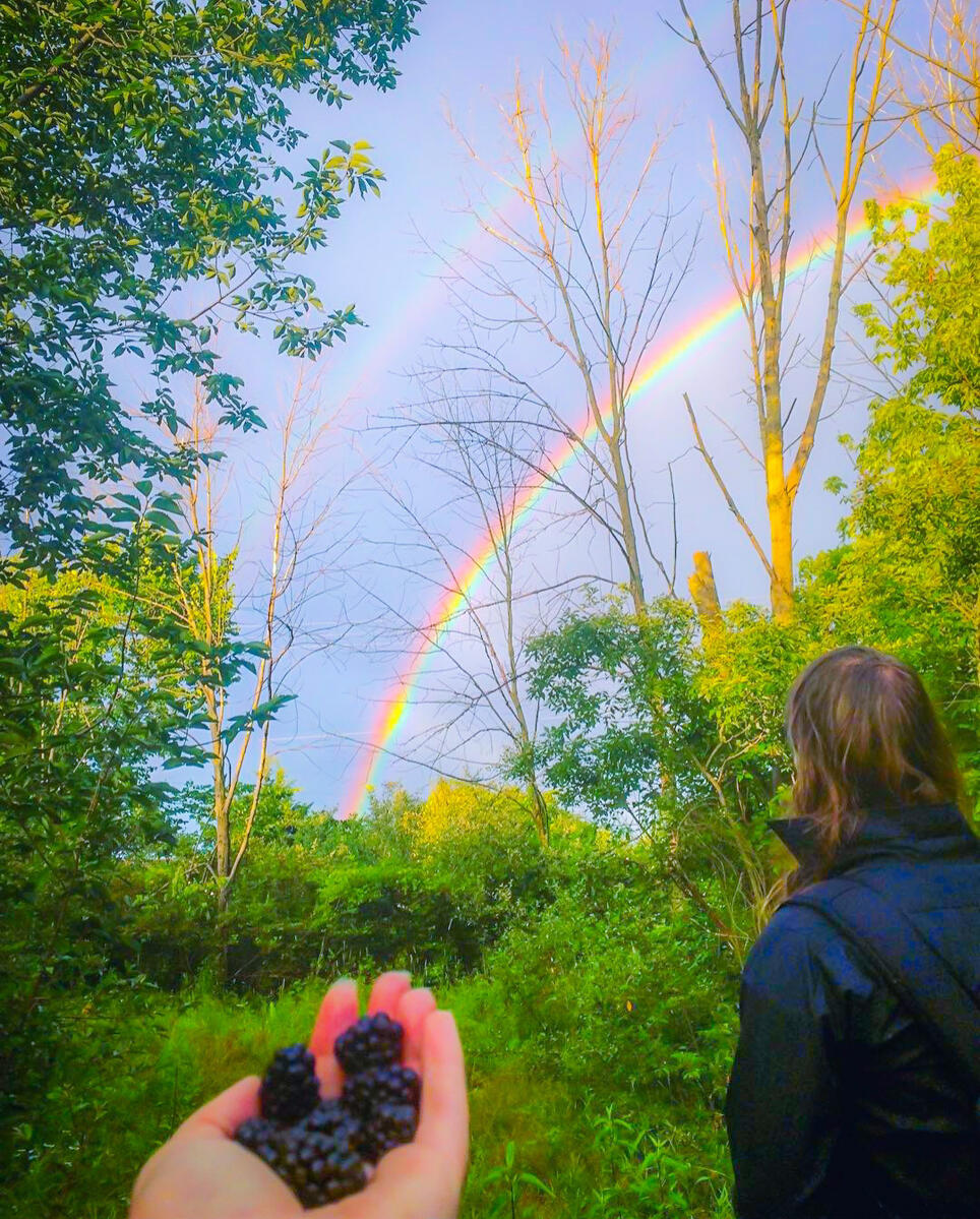 When you learn the landscape, your reality can feel like a dream, like it did on this day pictured harvesting wild blackberries beneath a double rainbow.